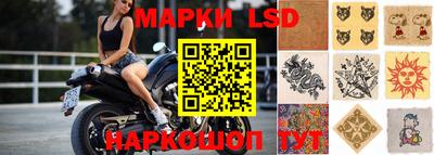 индика Славгород