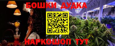 крисы Сланцы