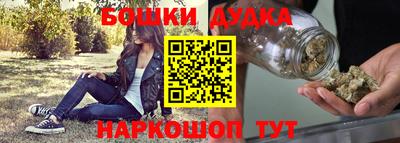 индика Славгород