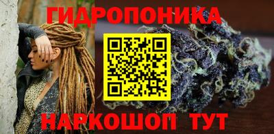 крисы Сланцы