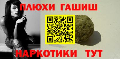 индика Славгород